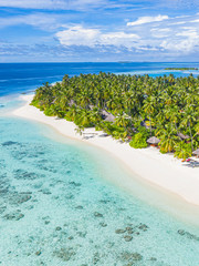 Tranquil aerial photo of beautiful paradise island beach in Maldives tropical beach on exotic...