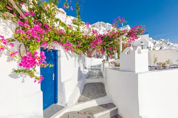 Rolgordijnen Traditional greek house with flowers in Santorini island, Greece. © icemanphotos