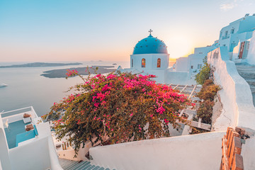 Summer landscape, travel, vacation. Sunset view of traditional cycladic houses with flowers in foreground, Oia village, Santorini, Greece. Church building on Santorini island at evening, Greece