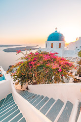 Obraz premium Summer landscape, travel, vacation. Sunset view of traditional cycladic houses with flowers in foreground, Oia village, Santorini, Greece. Church building on Santorini island at evening, Greece