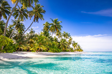 Obraz na płótnie Canvas Tropical beach landscape. Summer island vacation and travel background. Exotic scenery with palm trees over amazing blue sea lagoon. Colorful nature landscape