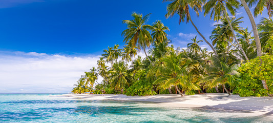 Tropical beach landscape. Summer island vacation and travel background. Exotic scenery with palm trees over amazing blue sea lagoon. Colorful nature landscape