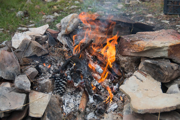  bonfire burns in nature on a campaign