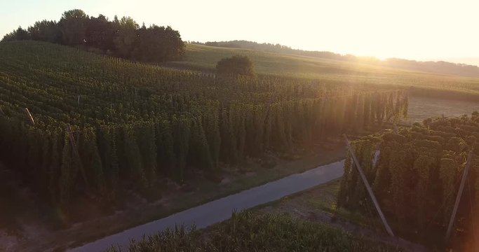 Hopfenanbau Hallertau in Bayern Drohne