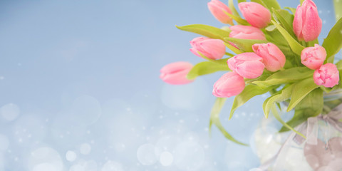 Fototapeta na wymiar Spring background with tulips. Card for Mothers day, 8 March, Easter