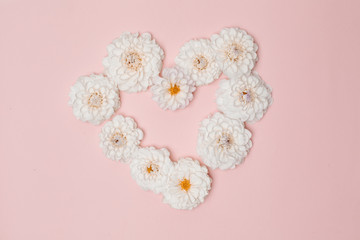 Heart shape from white dahlia flowers on pink background.