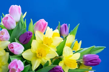 Schilderijen op glas tulips and daffodils flowers © neirfy