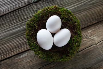 Egg in the decorative nest on wood background with space