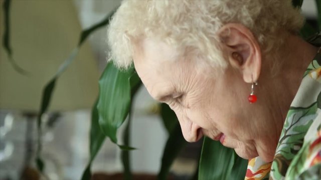 Old blond woman is watering flowers