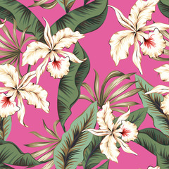 Tropical orchid flowers, green banana palm leaves, pink background. Vector seamless pattern. Jungle foliage illustration. Exotic plants. Summer beach floral design. Paradise nature - 332742208