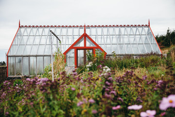 Garden and greenhouse in Newfoundland, Canada 