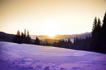 Picturesque view of snowy hill and conifer forest in winter