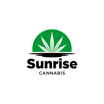 An illustration of sunrise with sunlight replaced with cannabis leaves logo design.