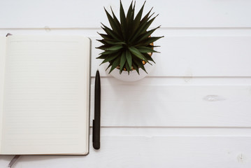 A blank white notebook on a white wooden background next to a home flower in a pot. Light pattern