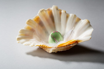Green chocolate candy on seashell