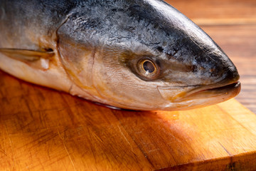 head of raw mackerel. prepare dishes from fish.