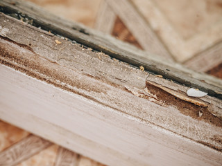 Old dirt rotten wooden retro white window