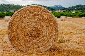 Heystack, Hayroll, Field, Straw,Sky, Harvest