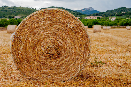 Heystack, Hayroll, Field, Straw,Sky, Harvest
