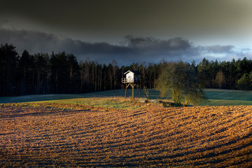 Wiosenne Klimatyczne Zaorane Pole z Amboną