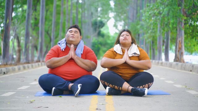 Obese couple doing yoga exercises at park