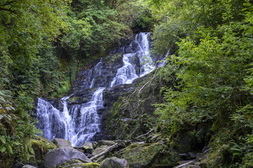 waterfall in forest