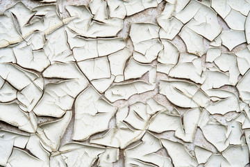 Old cracked wall with moldy peeling white painting