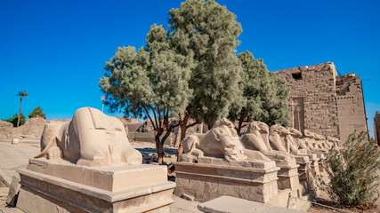 Karnak Temple in Luxor, Egypt. The Karnak Temple Complex, commonly known as Karnak, comprises a...