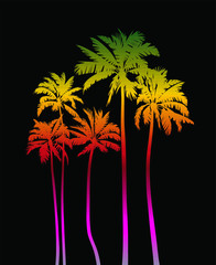 Magical palms trees at night