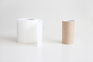 Roll of toilet paper and empty toilet roll