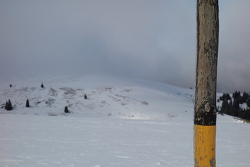 Schneebedeckter Feldberg im Schwarzwald. Beschneiter Berg im Hintergrund mit Schneepfosten im Vordergrund. Stimmungsvolle Winterlandschaft