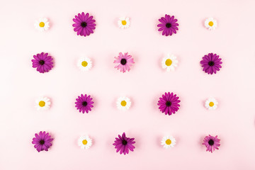 flowers composition in pink background