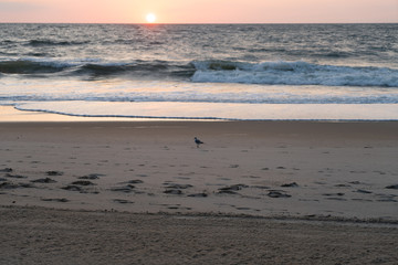 Sunrise over the horizon 8