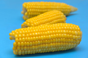 Juicy and tasty corn on blue