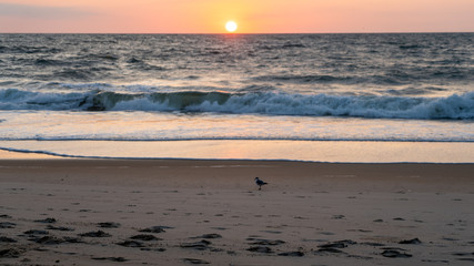 Sunrise over the horizon 7