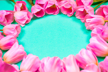 spring flowers banner - bunch of pink tulip flowersbright colorful background.