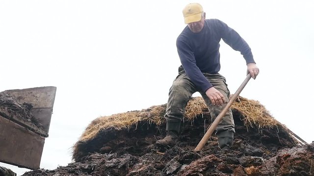 Farmer loads the manure into the trailer. Slow motion