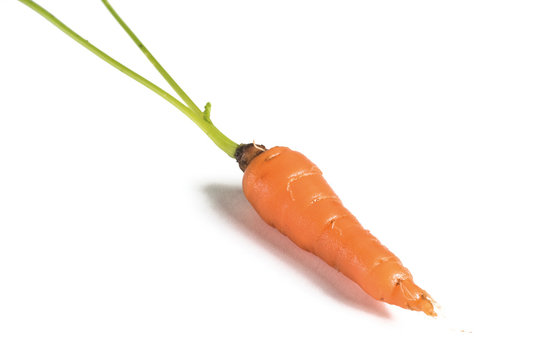 Baby carrot © Ander