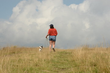 Sommerspaziergang. Junge Frau geht mit kleinem Hund spazieren