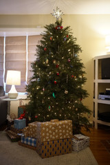 presents under a Christmas Tree