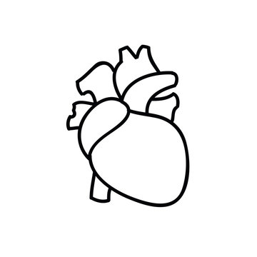 human heart doodle icon, vector illustration