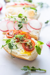 Breakfast sandwiches with cream cheese, quail eggs, tomatoes, radish and micro green on a ceramic plate, light grey background. Healthy snack. Close up.