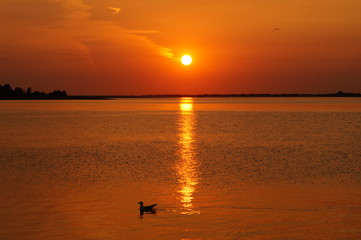 sunset at the sea