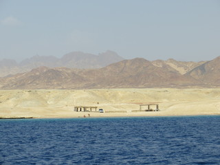 beduins in the desert