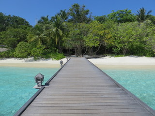 Tropical Island in Maldives
