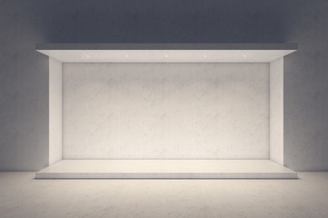 empty showcase of a shop in the evening light