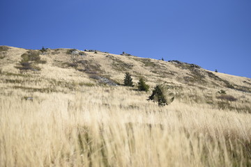 Bieszczady Mountain park with top view in high sun