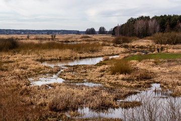 Dolina Górnej Narwi. Rzeka Narew. Wiosna na Podlasiu. Polska
