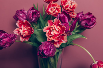 Beautiful Bunch of Peony and Parrot Style Tulips in the Vase on the dusty pink background, spring holiday concept, copy space
