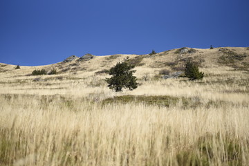 Bieszczady Mountain park with top view in high sun